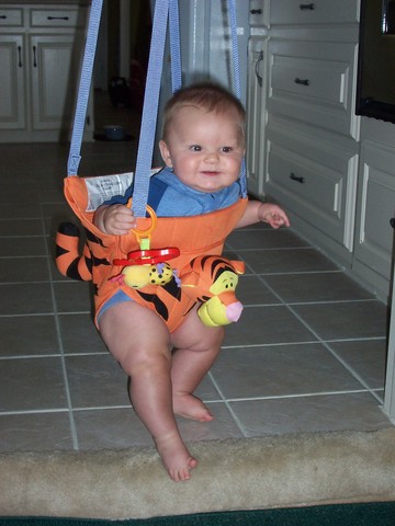 Tigger Bouncer