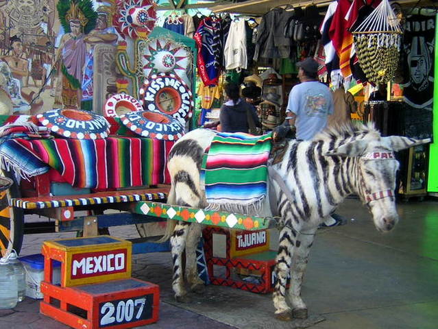 Designan como Tijuana a la ciudad