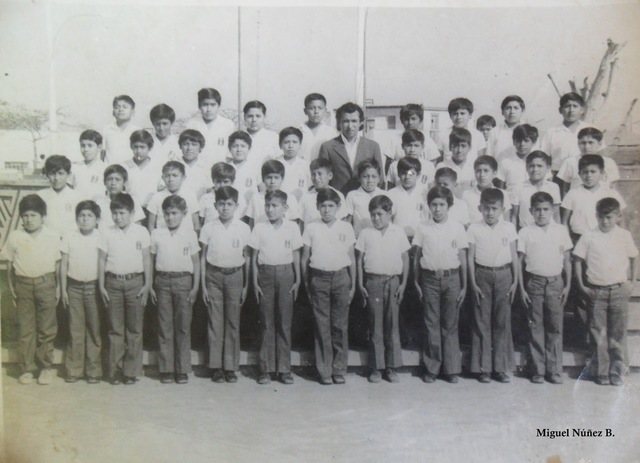 Reformas a primaria y secundaria