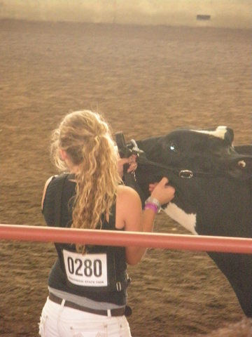 viente augusto de 2013