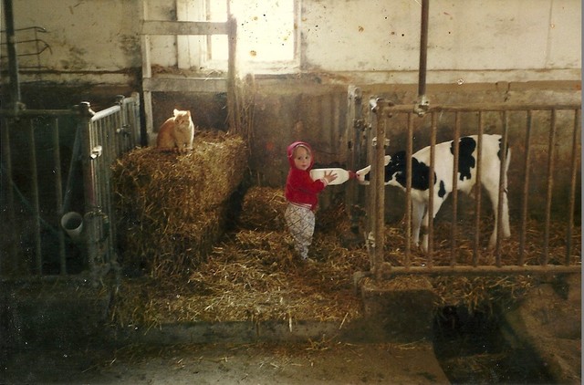 cuatro marzo de 2001