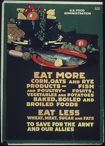 Food Administration set up under Herbert Hoover