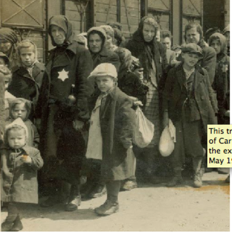 Nazi's Experimentations