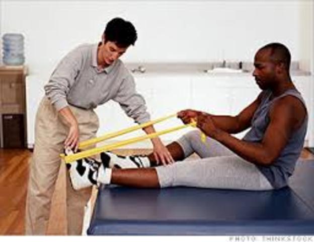 Physical Therapist