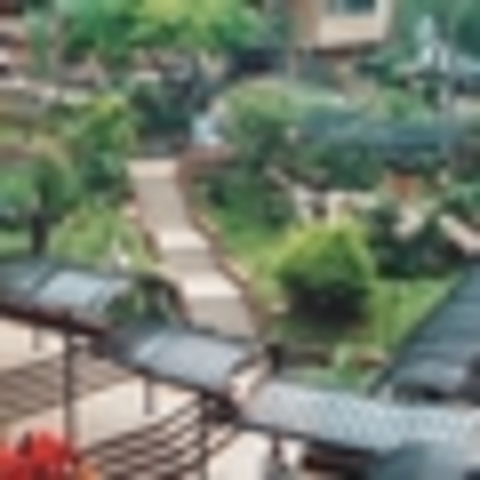 Reconocimiento De Algunas Facultades