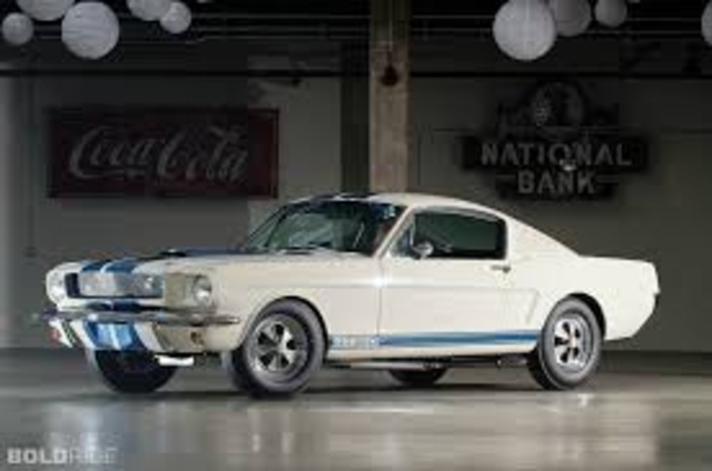 Carral Shelby's Mustang