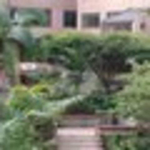 Ejerce La Seccional Cali