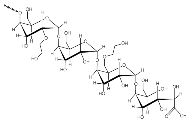 Binding of Flavors To Starch