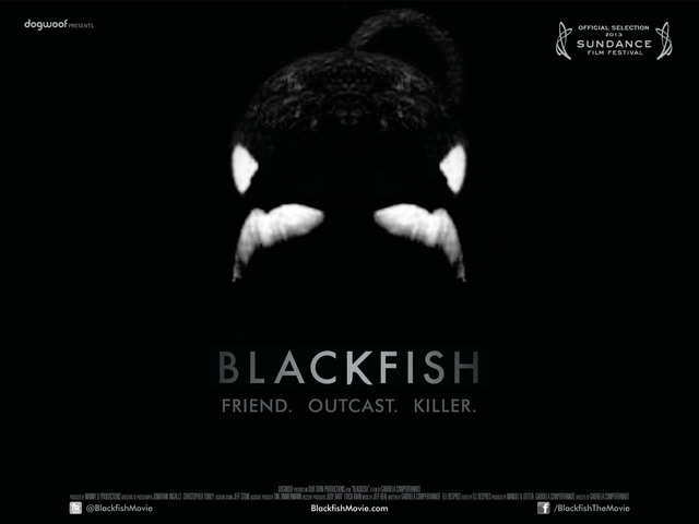 Lesson 4 Black Fish Trailer and Discussion
