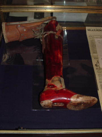 First Practical Moving Limb