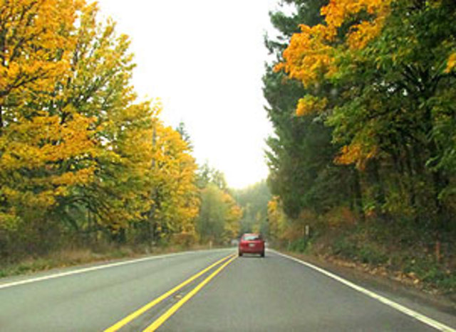 Journey to Disney World