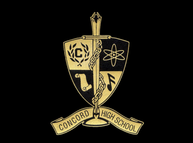 25th High School Reunion