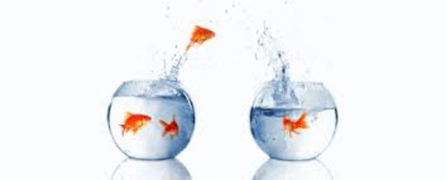 Circulation Loan data pulled