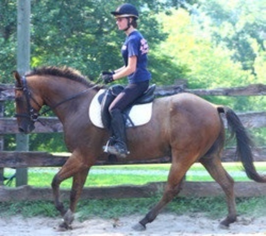 Horseback riding freshman year