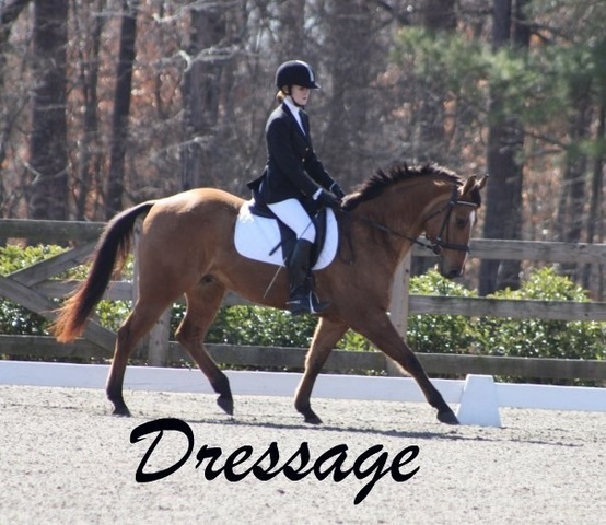 Freshman Year Horse Show