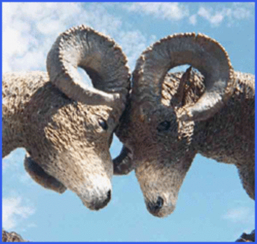 Okonkwo confronts Nwoye