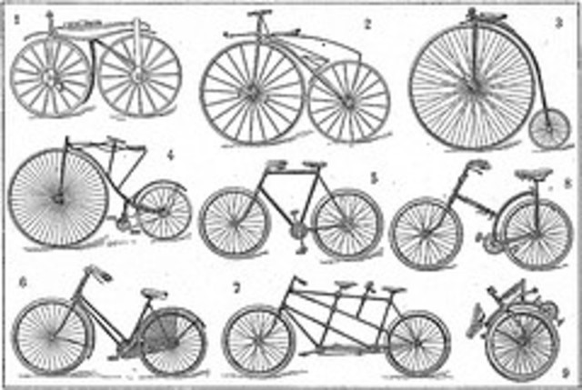 LOS PATINES CAEN EN EL OLVIDO