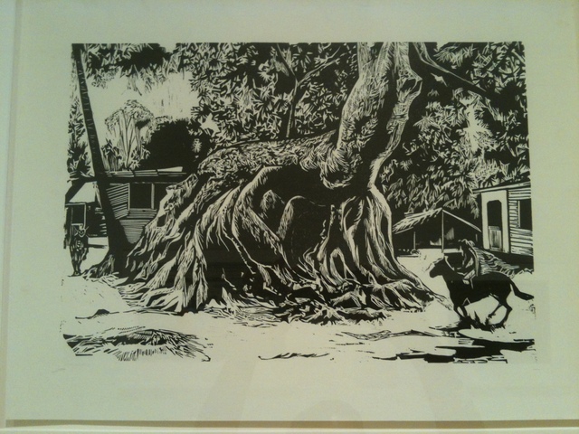 The Silk-Cotton Tree of Loíza