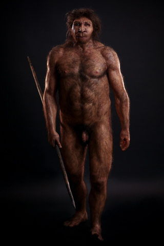 Homo Heidelbergensis