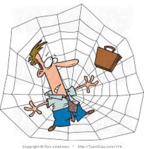 We Begin Getting Caught in the Web