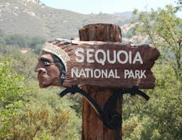 Sequoia National Park