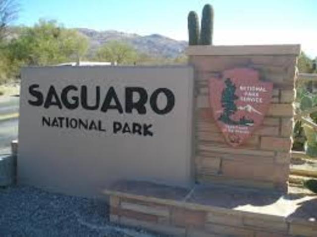 Saguaro National Park