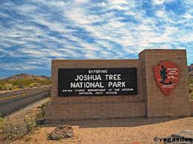 Joshua Tree National Park