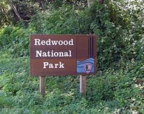 Redwood National Park