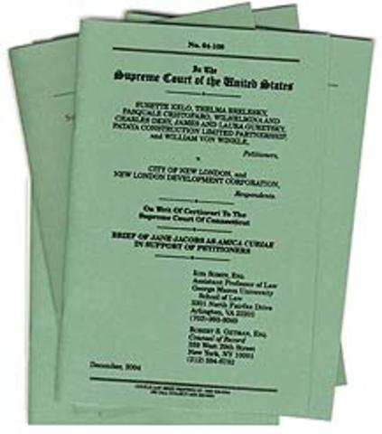 "Friend of the Court" amicus briefs