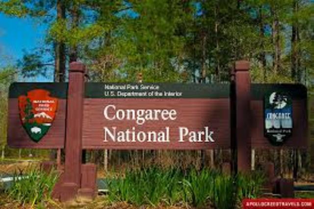 Congaree Swamp National Park