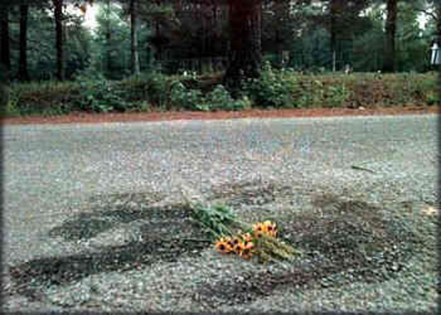 The Murder of James Byrd