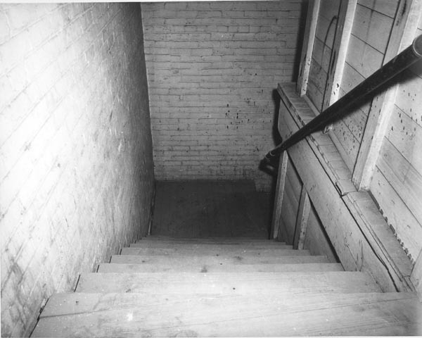 12:33pm OSWALD LEAVES