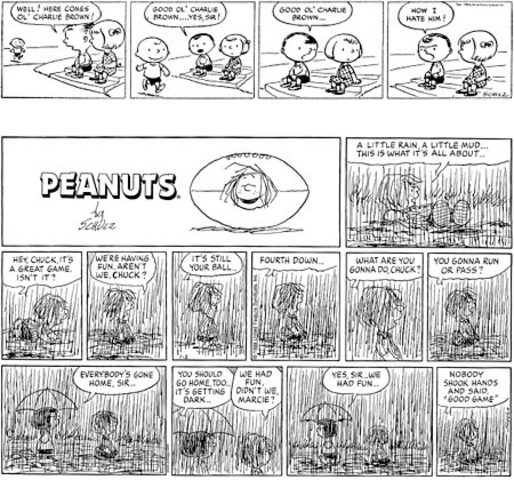 Peanuts Comic Ran In The Newspapers