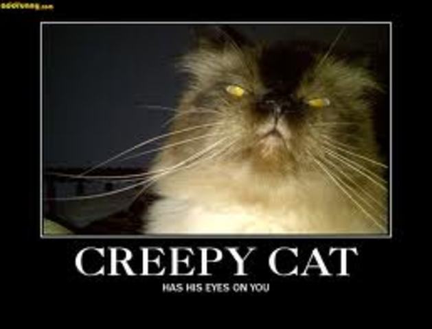 Okonkwo beat the Cat