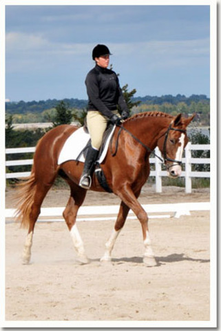 Hilltoppers Riding Acadamy