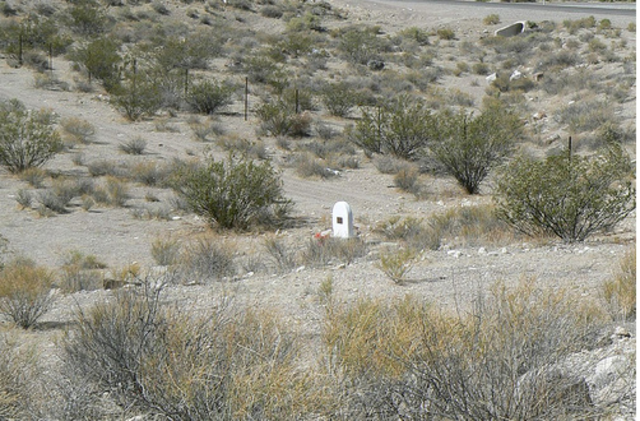 75 Citizens  Take the Second Pledge of Aqaba