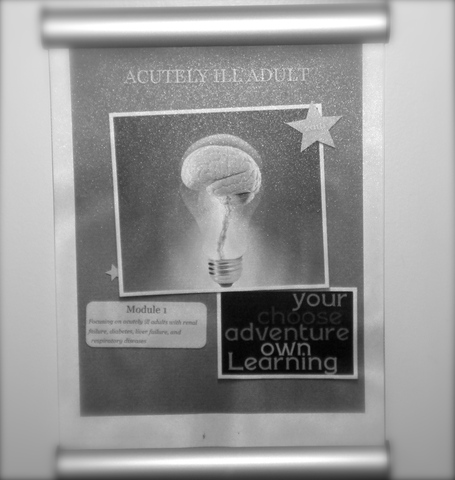 Cycle 1: Preassessment and new interactive curriculum