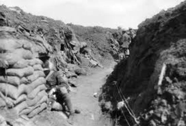 German gains Australia