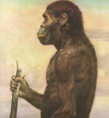 Austrolopithecus africanus