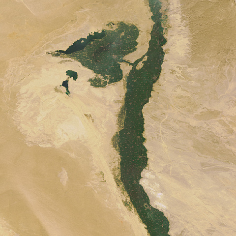 Agriculture develeped of the Faiyum