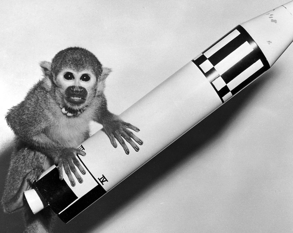 first monkey in space ooo;