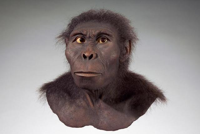 Homo rudolfensis