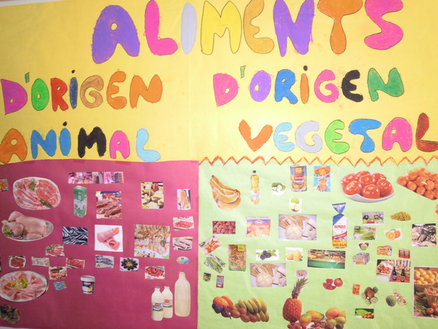 ACTIVIDADES COMPLEMENTARIAS DE LOS LIBROS