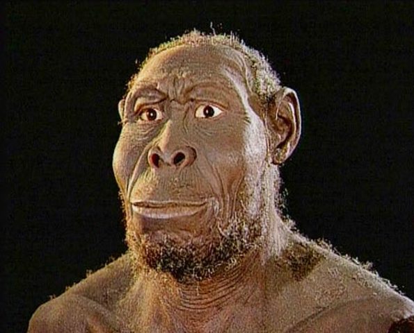 Homo rudolfensis