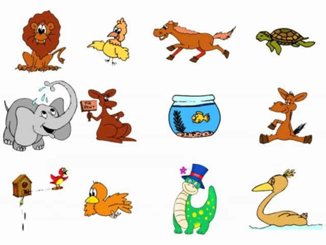 ¿Qué queremos saber?