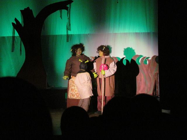 I participated in Shrek the Musical!