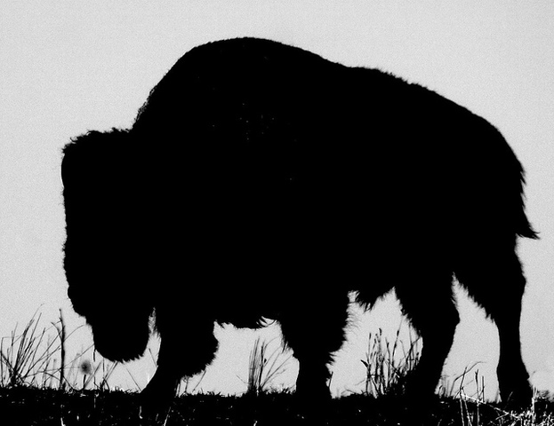 Argument over hunting grounds