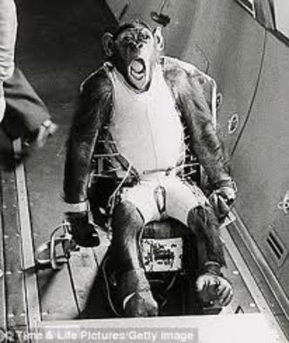 The Space Race Begins