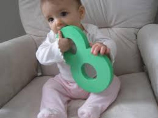 13-15 Months: Cognitive