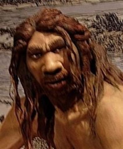 Homo Heidelbergensis